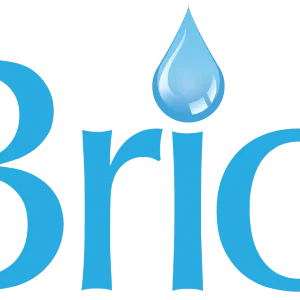Brio logo